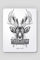 Baratheon