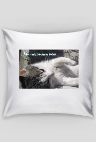 Zgnieć Tigera ! Poduszka z Tigusiem :)