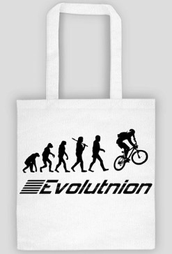 Evolution
