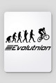 Evolution
