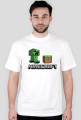 Minecraft classic