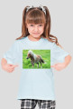 I LOVE HORSE!