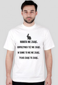 Robota nie zając