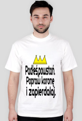 Padłeś powstań