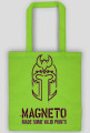 magneto
