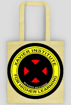 xavier intytute
