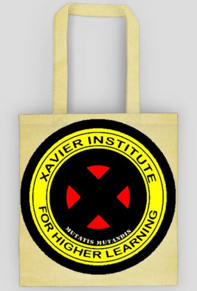 xavier intytute