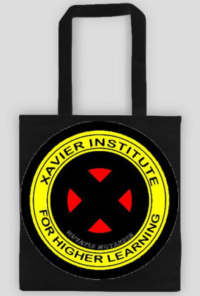 xavier intytute