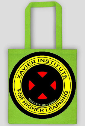 xavier intytute