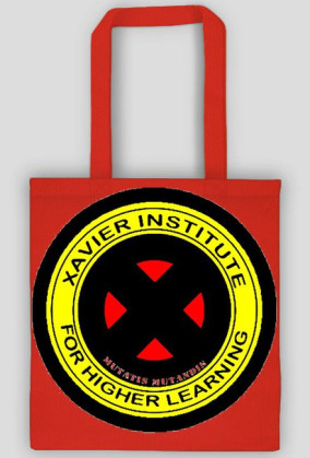 xavier intytute