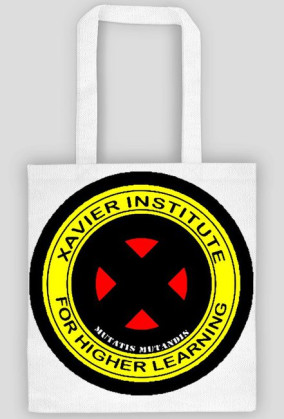 xavier intytute