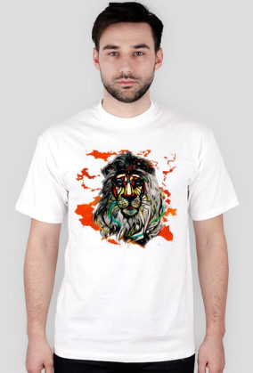 AFRICA LION