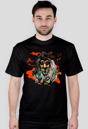 AFRICA LION