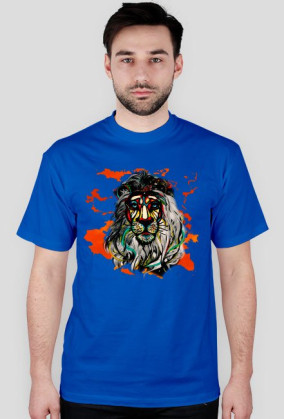 AFRICA LION