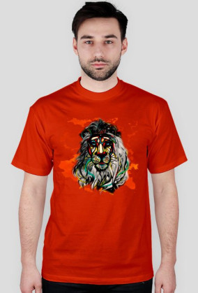 AFRICA LION