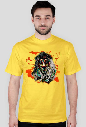 AFRICA LION