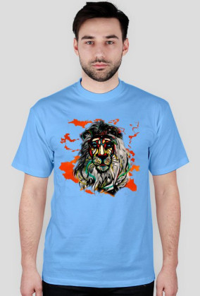 AFRICA LION