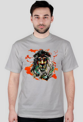 AFRICA LION