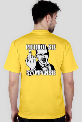 SZYMPANS V2