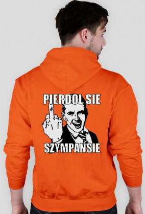 SZYMPANS V3