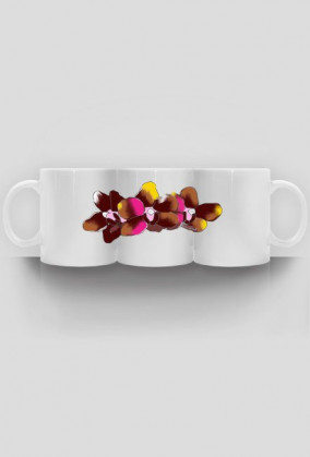 Storczyk kolorowy kubek