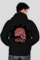WSNRclassic2