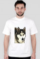 Koszulka Husky, dla niego.