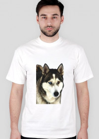 Koszulka Husky, dla niego.