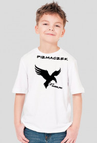 RAVENS_PRO PIZMACZEK OFFICIAL