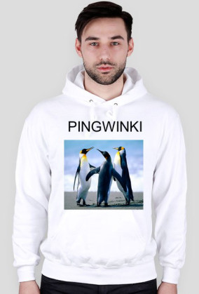 PINGWINKI
