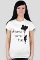 dreams