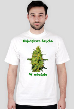Szycha