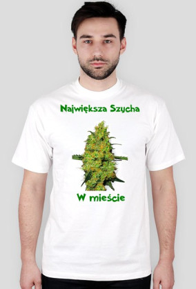 Szycha