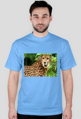 Koszulki ze Zwierzętami