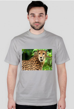 Koszulki ze Zwierzętami