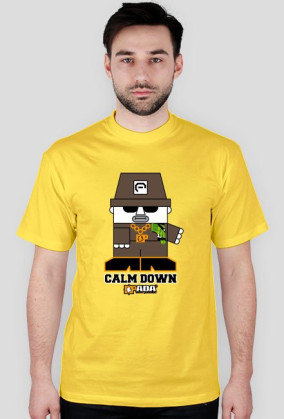 Koszulka męska - Uspokój się. Pada