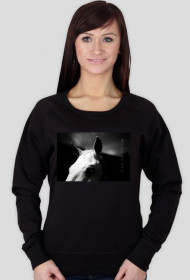 Stylowa bluza z koniem ,,lifestyle"-sklep KONIOWATO