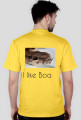 I like Boa