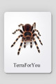 Podkładka Pod Myszkę TerraForYou Spider