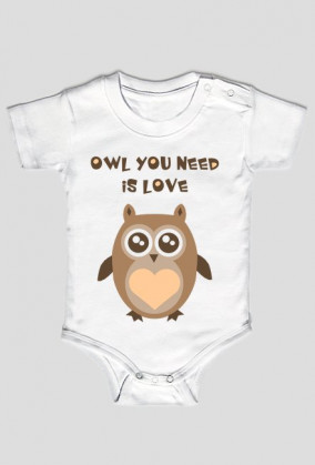 OWL YOU NEED IS LOVE