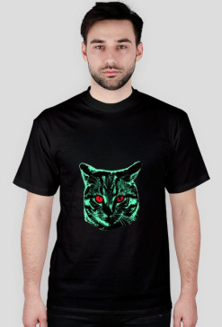 Kot