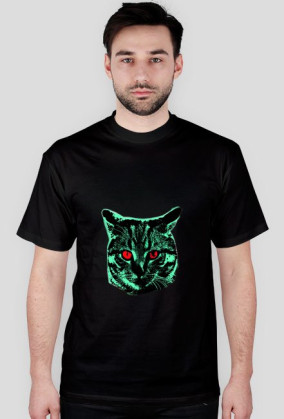 Kot