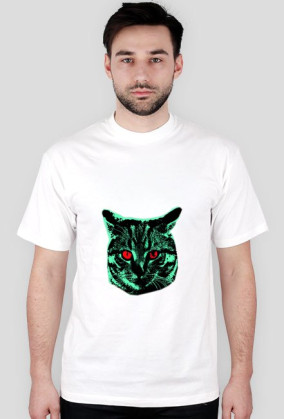 Kot