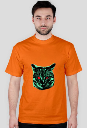Kot