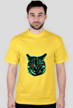 Kot