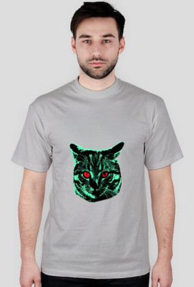 Kot