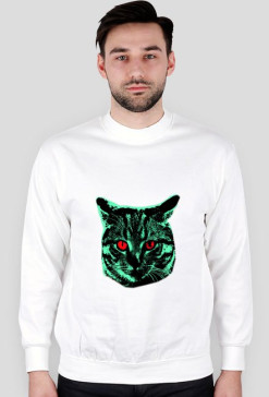 Kot