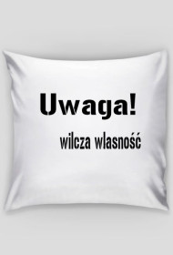 Podusia dla wilków ;P