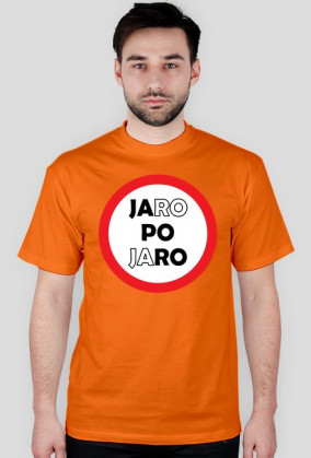Jaro Po Jaro