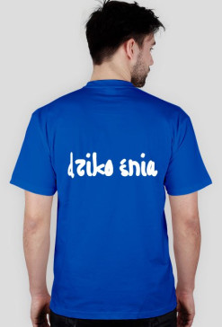 Dziko śnia